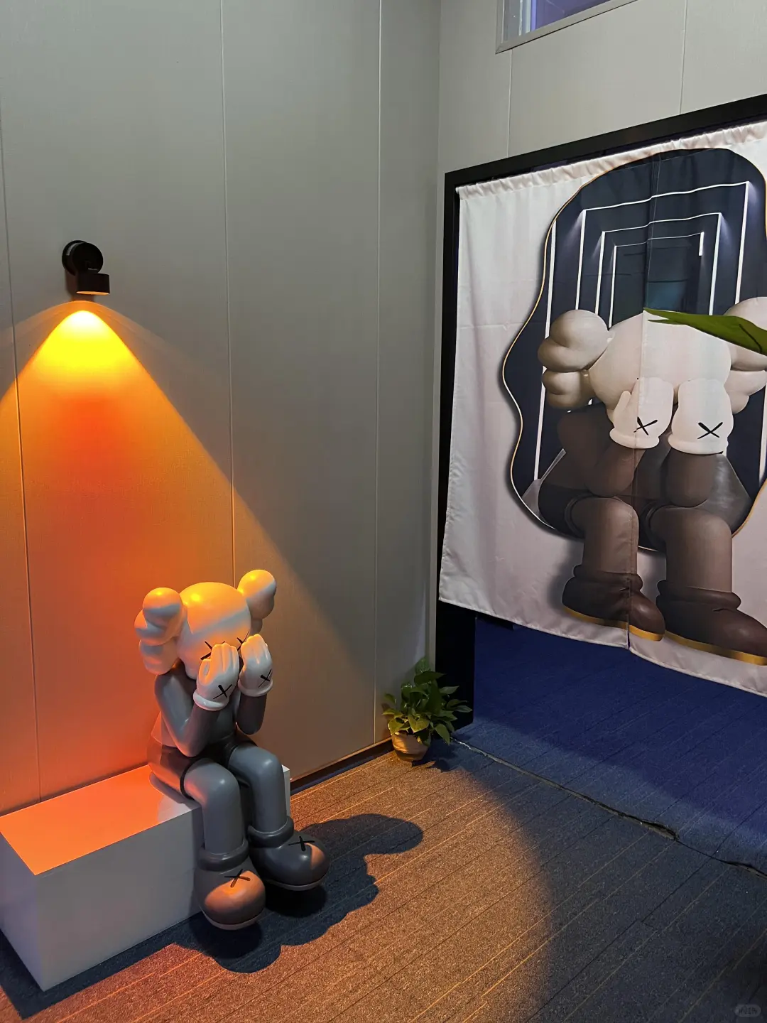 光谷私人影院招主播!