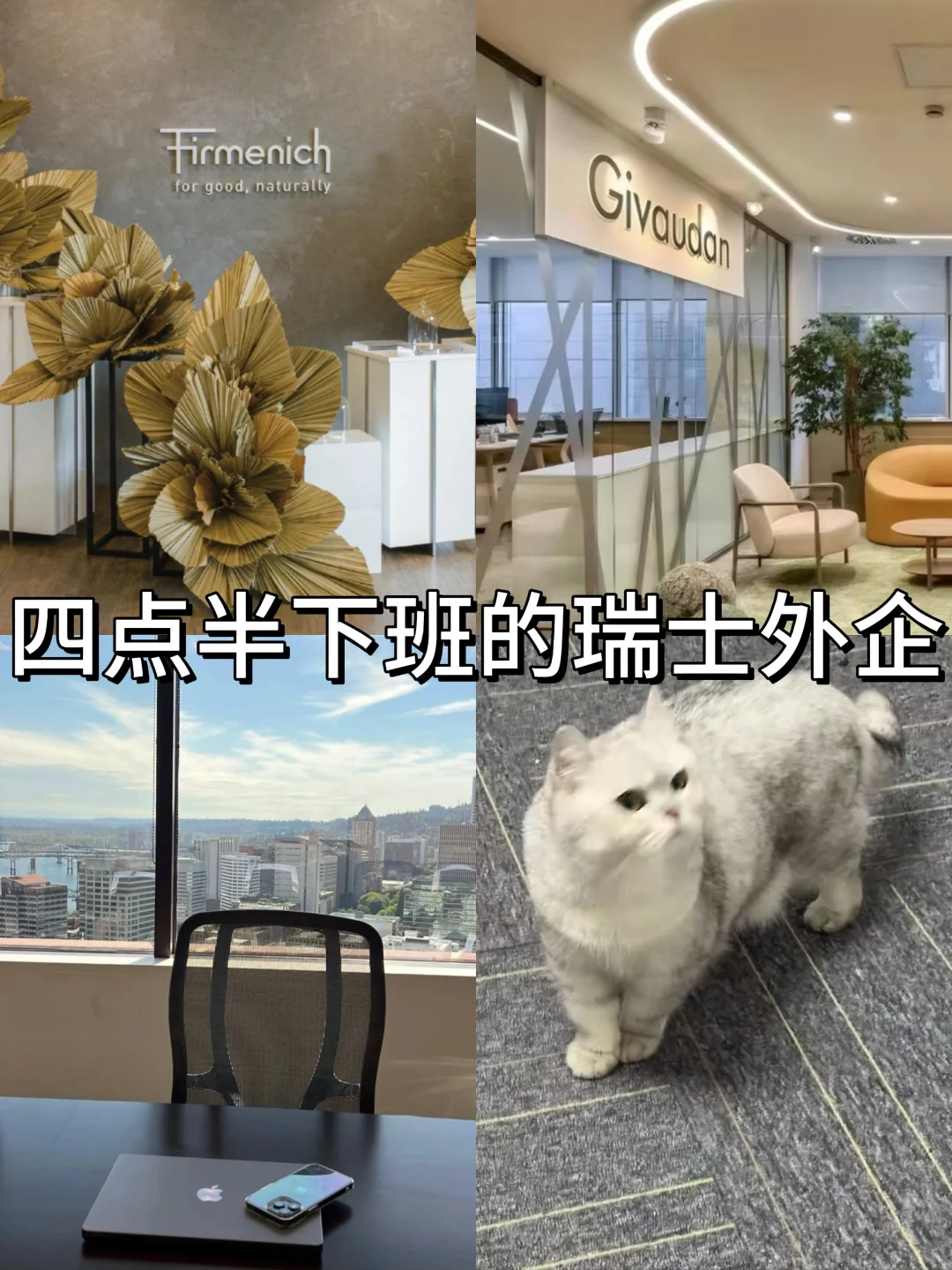 四点半下班的瑞士外企，你想来吗？