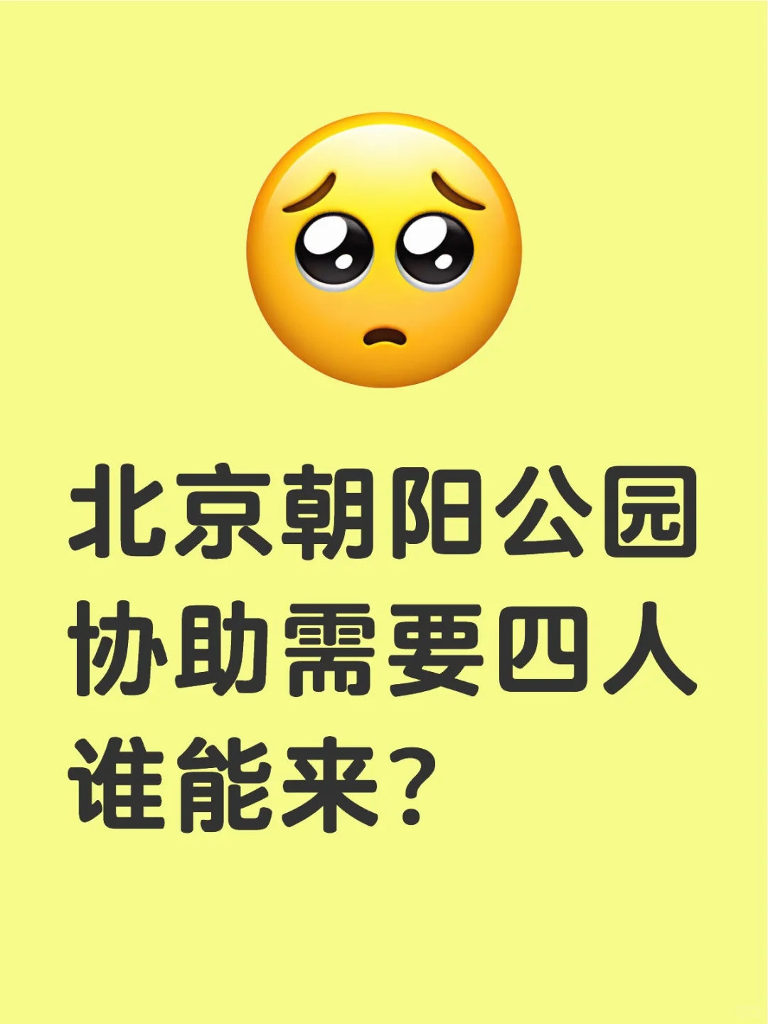 北京朝阳公园协助，溜达巡视的活儿，谁来？