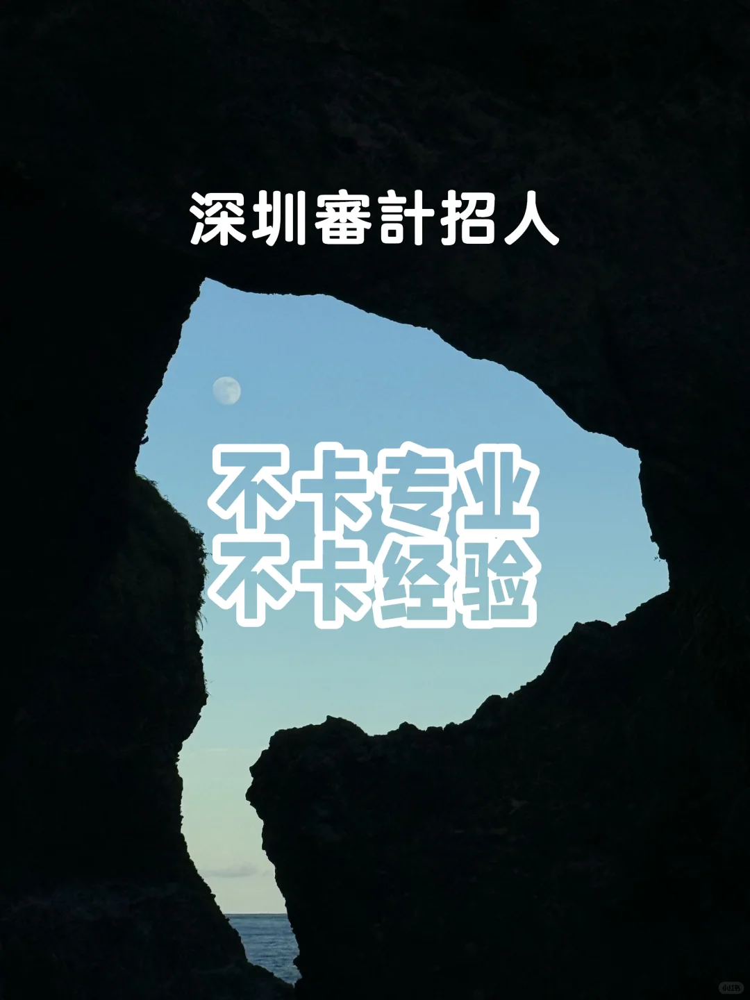 深圳审计又招人了