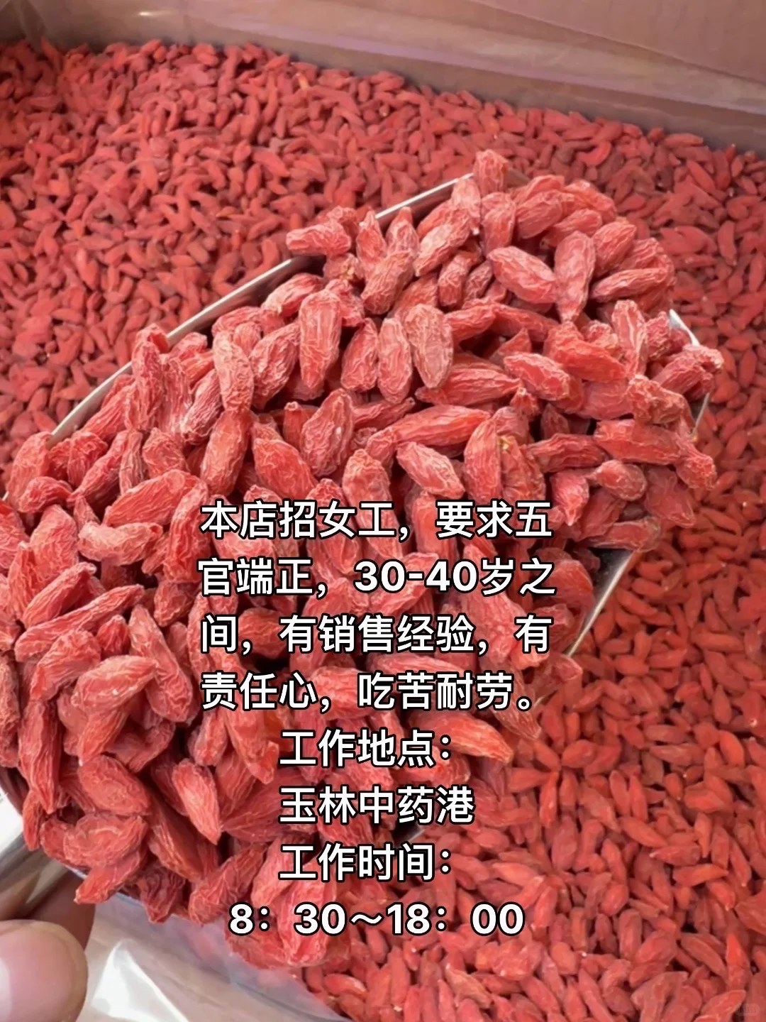 本店招女工，白班，30-40岁之间