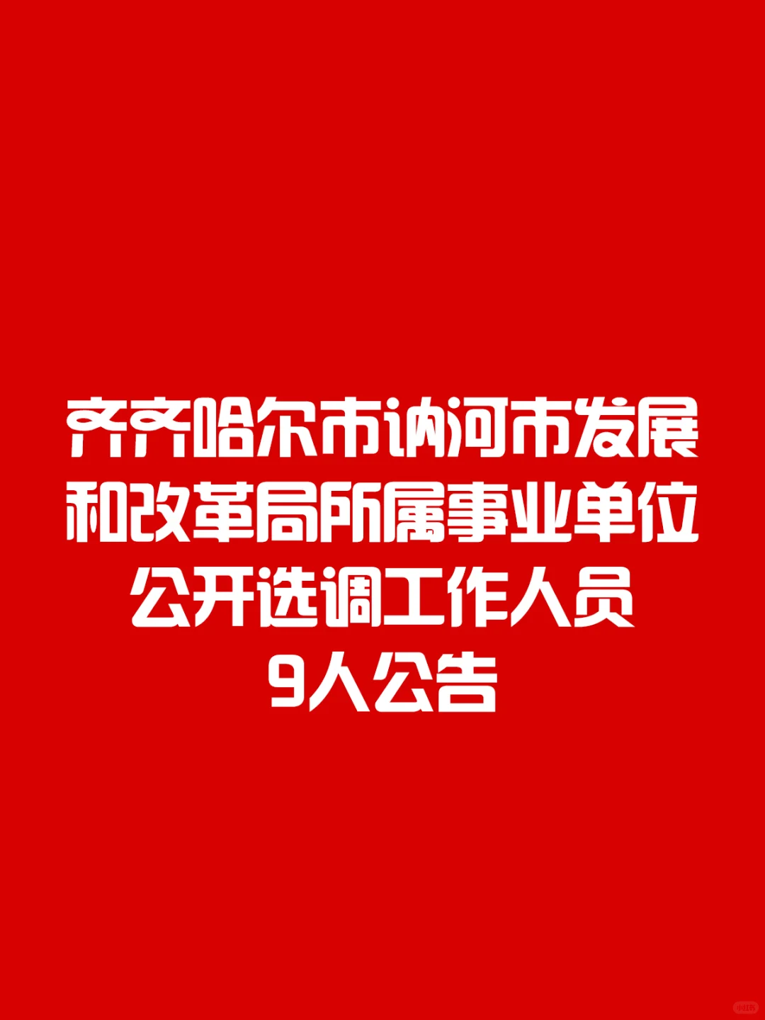 讷河市发展和改革局所属事业单位选调