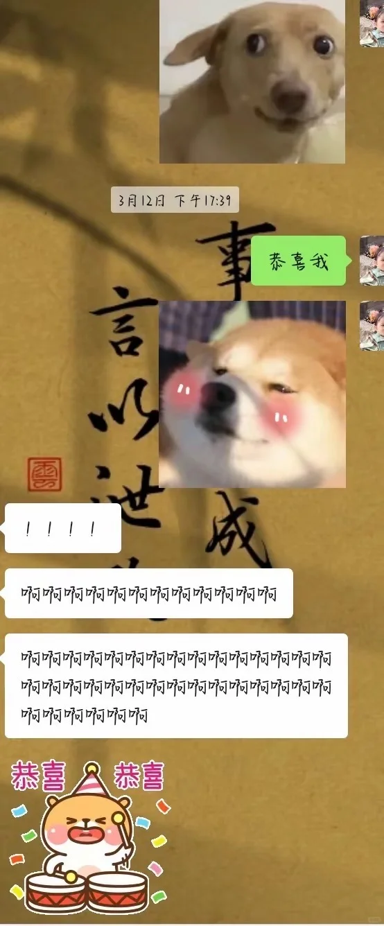 多次教招上岸心路分享｜我其实没有很使劲