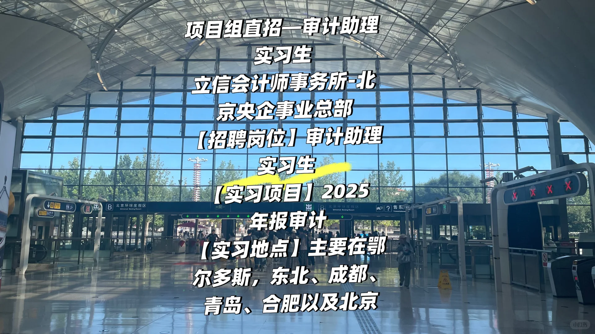 项目组直招——审计助理实习生