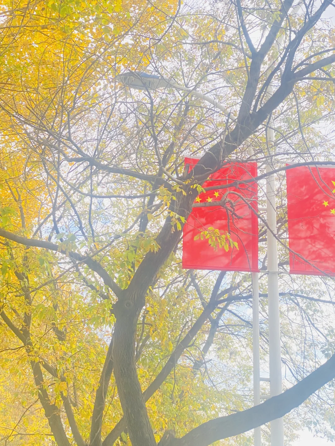我在鹤岗要找兼职，谢谢您了。有的话喊我一下