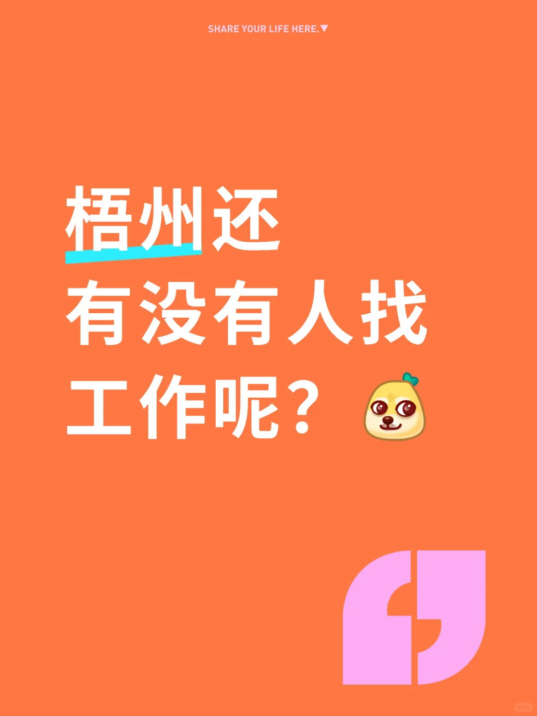 梧州找工作看过来！