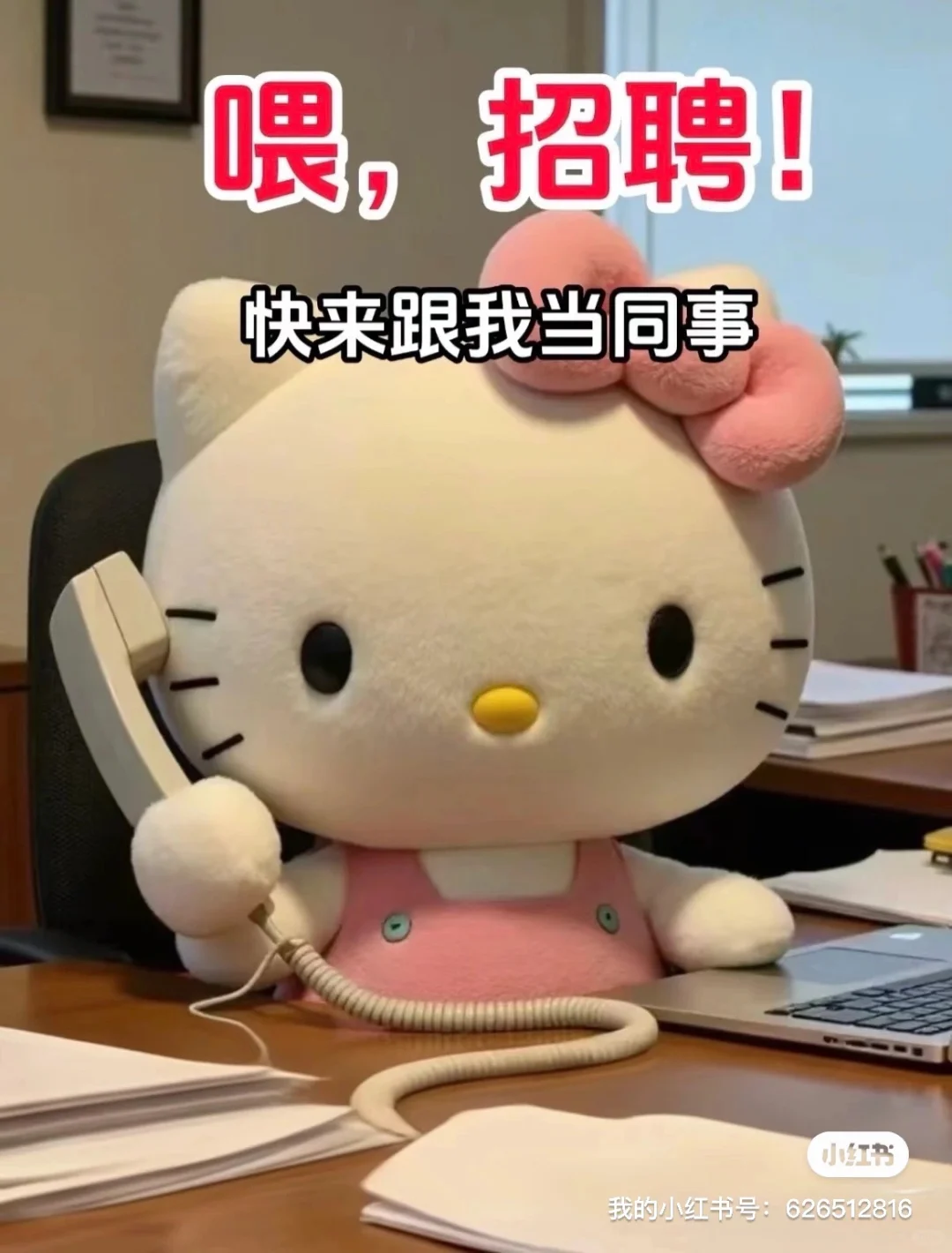 重生之我在保定做招聘