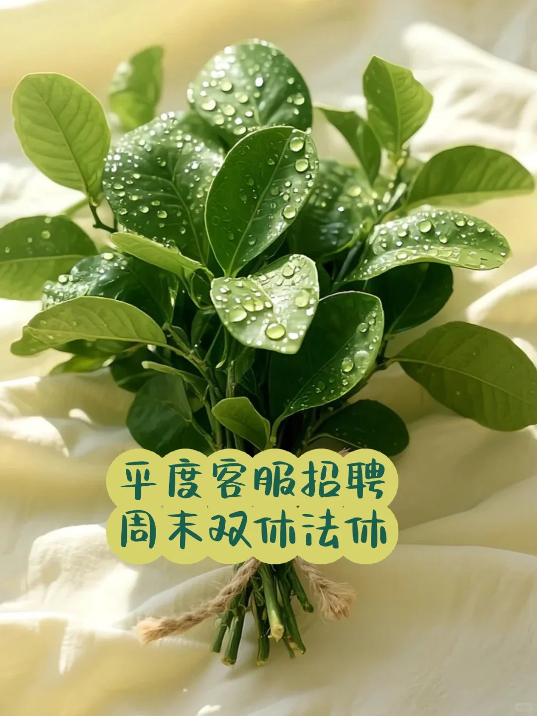 平度市招聘信息