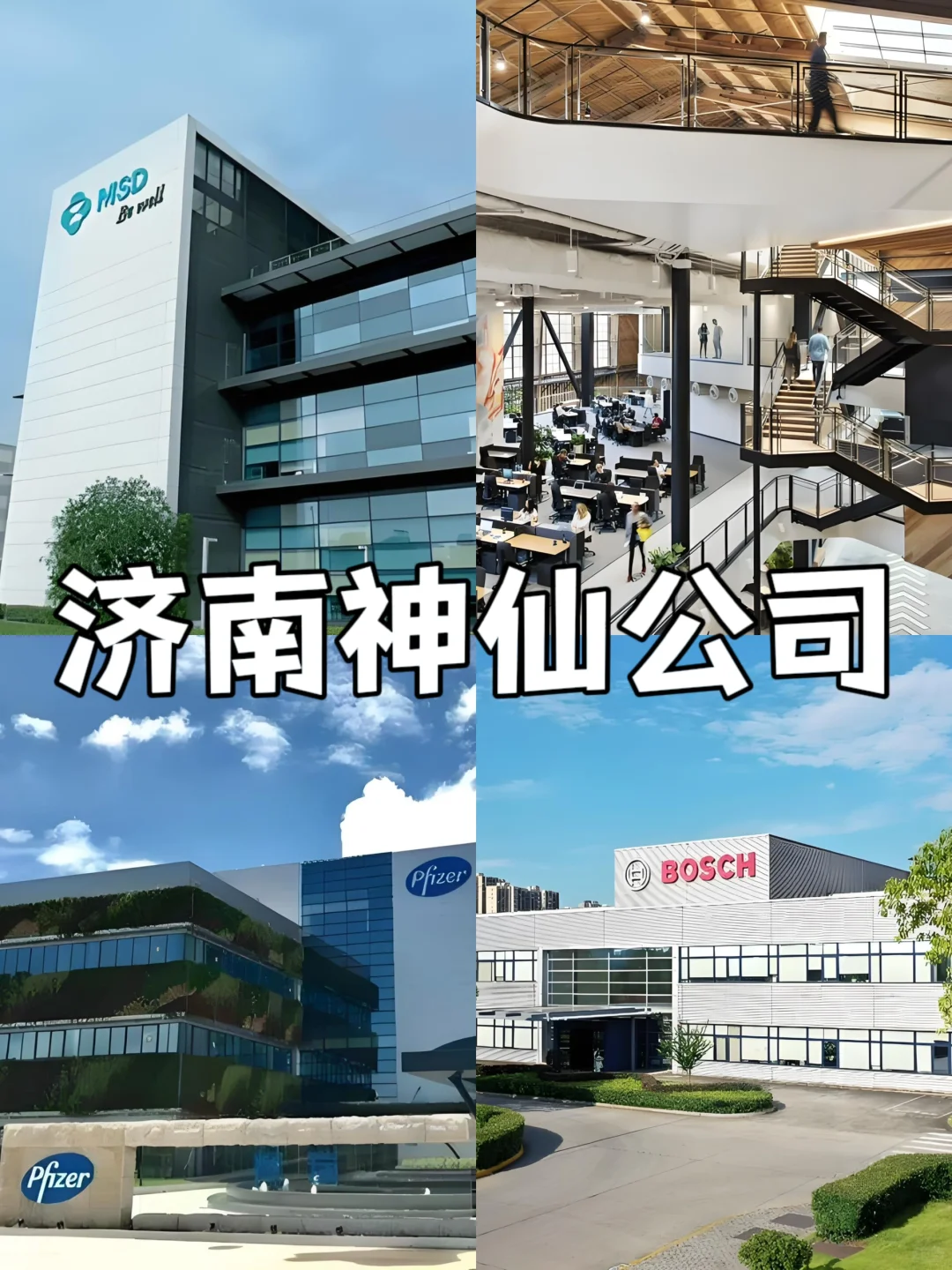 济南神仙公司🌟女性友好 待遇好 跳槽必看✅