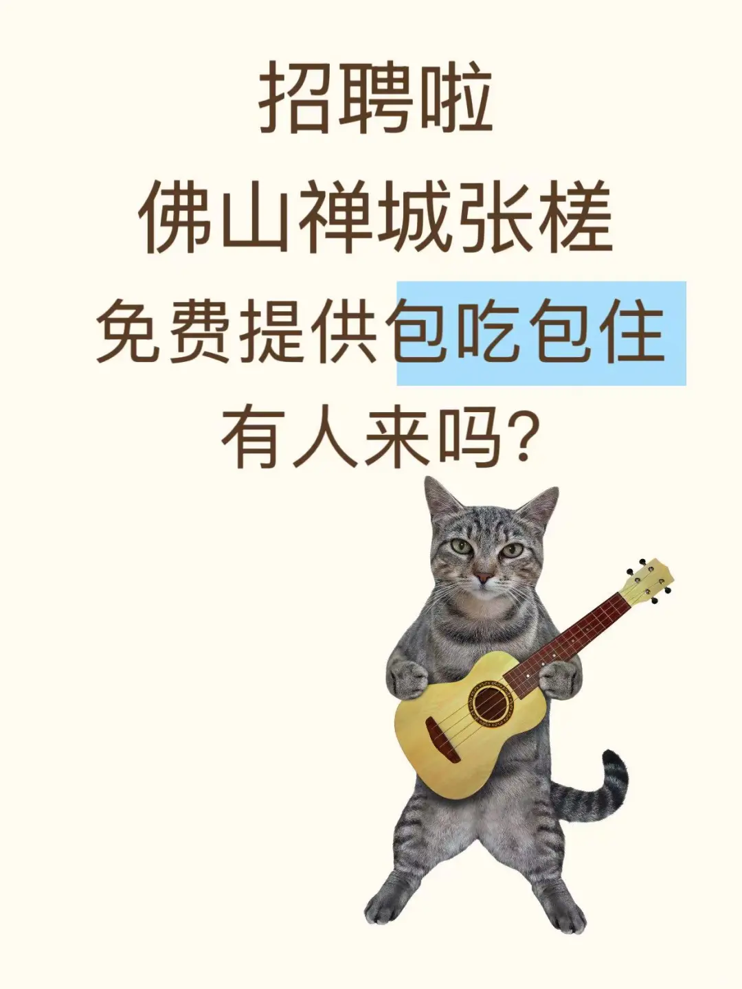佛山禅城张槎招人啦