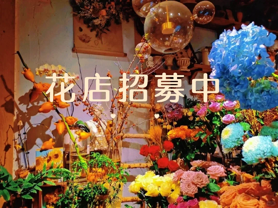 呼和浩特市周六日花店兼职