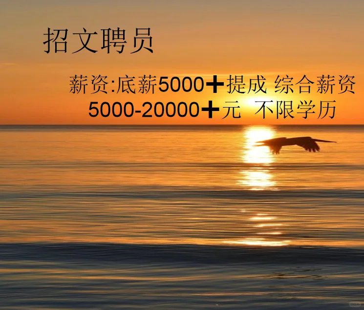 来个上班搭子(文员招聘)