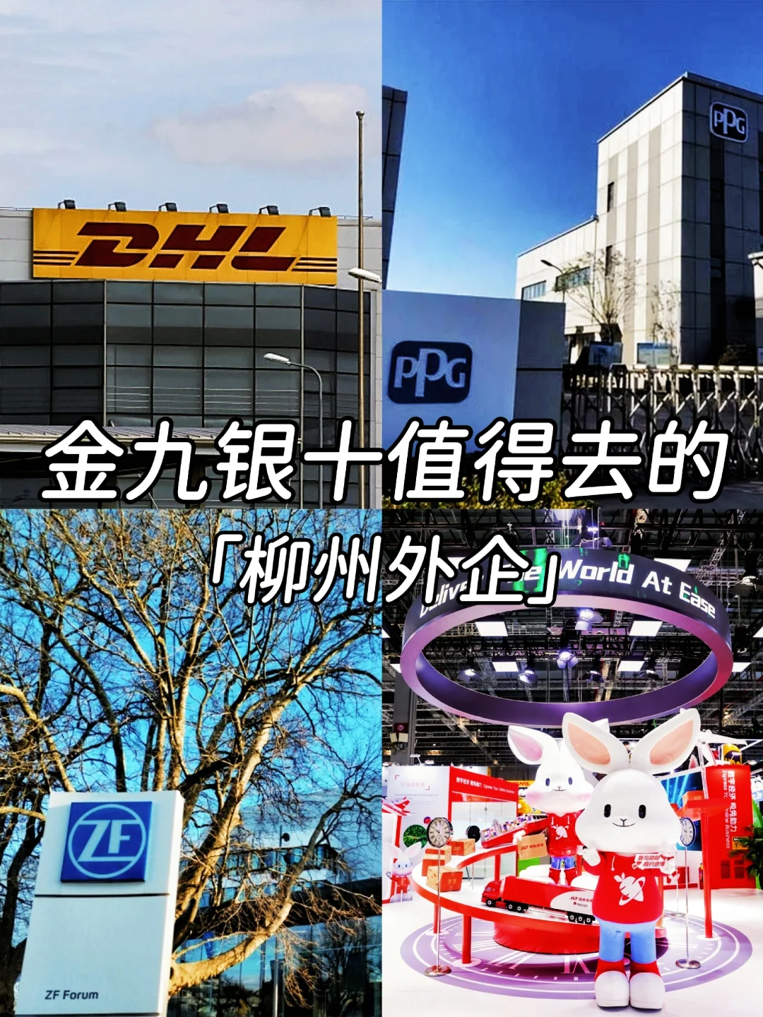 金九银十值得去的：柳州外企
