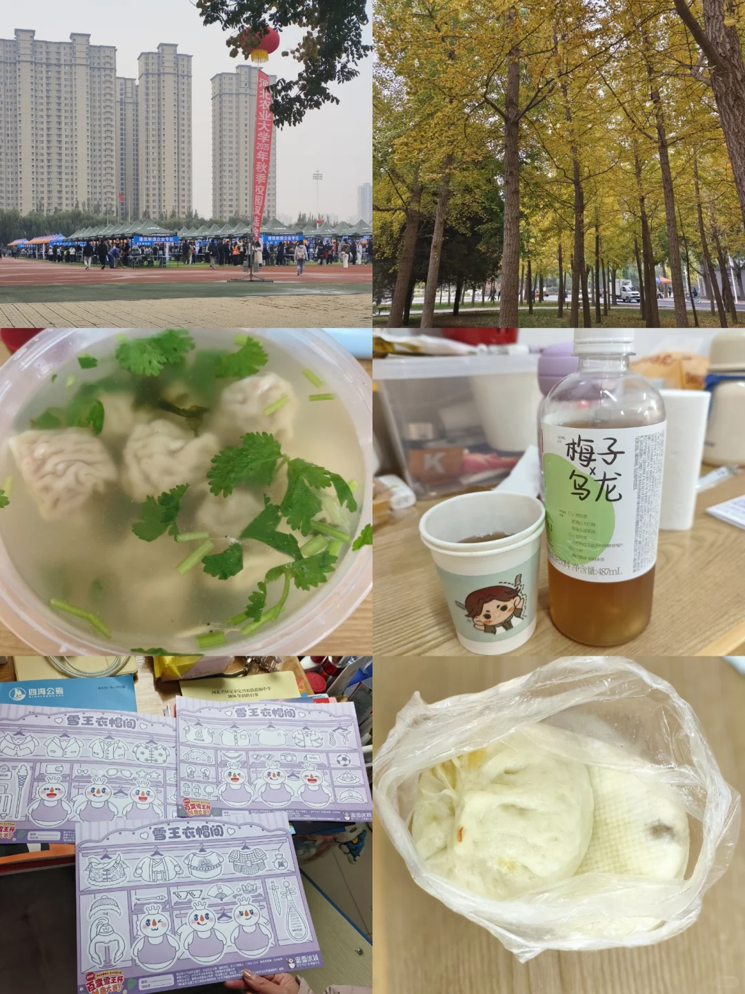生活碎片🧩·保定 163