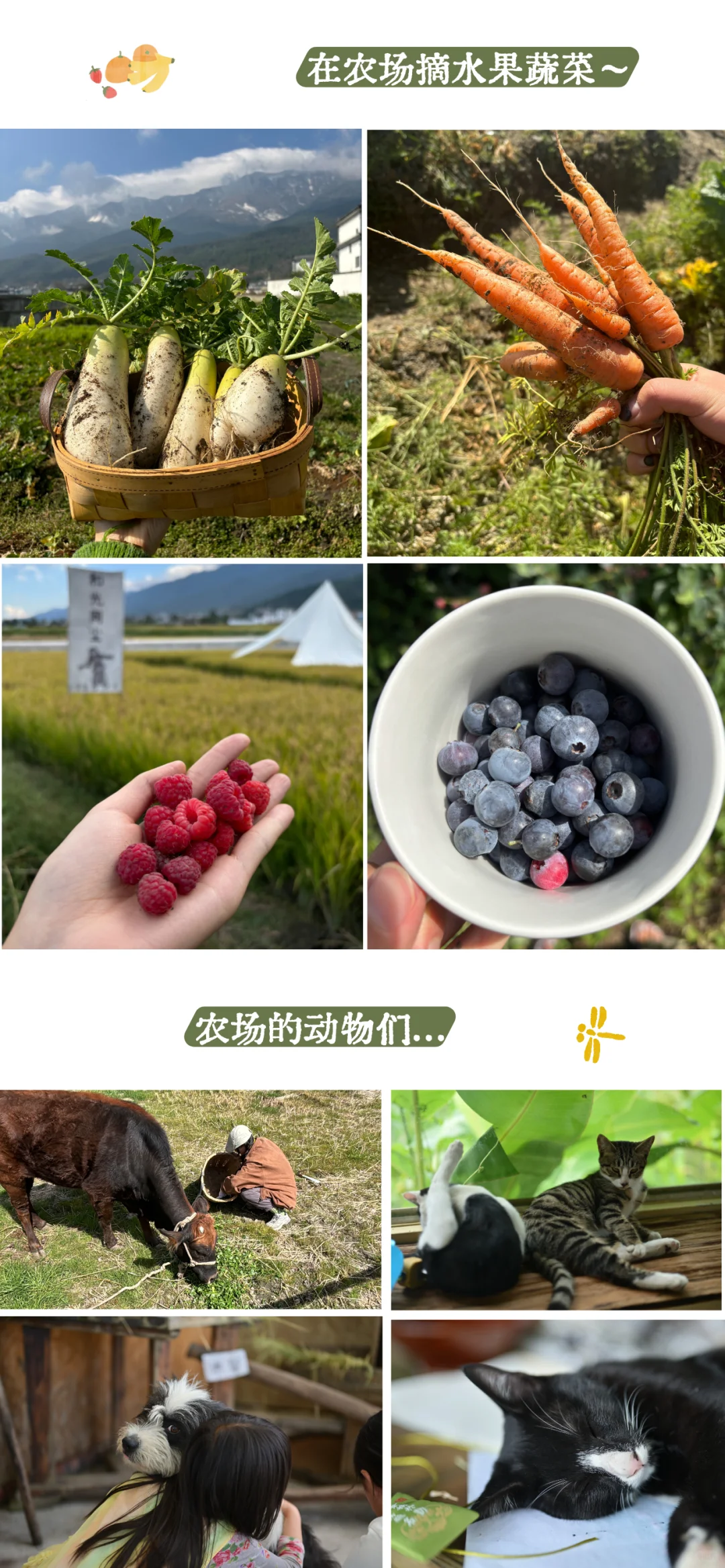 社区的有机农场招聘来啦～