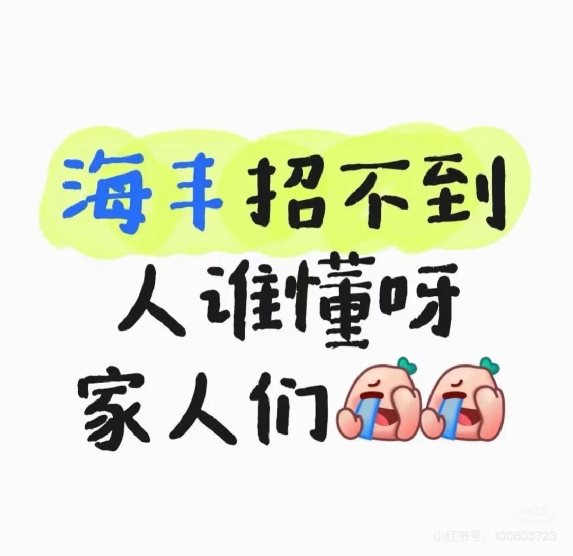 刚入海丰，海丰招不到人谁懂呀