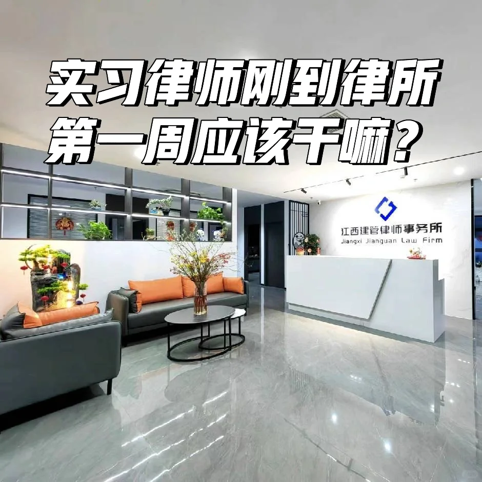实习律师刚到律所应该做什么——纯干货