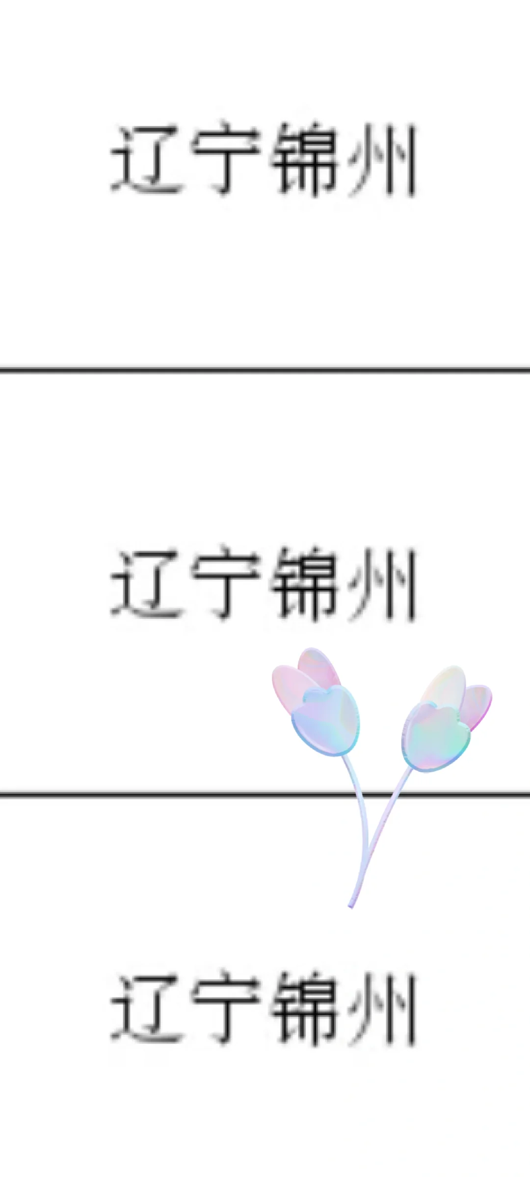 辽宁锦州来啦！