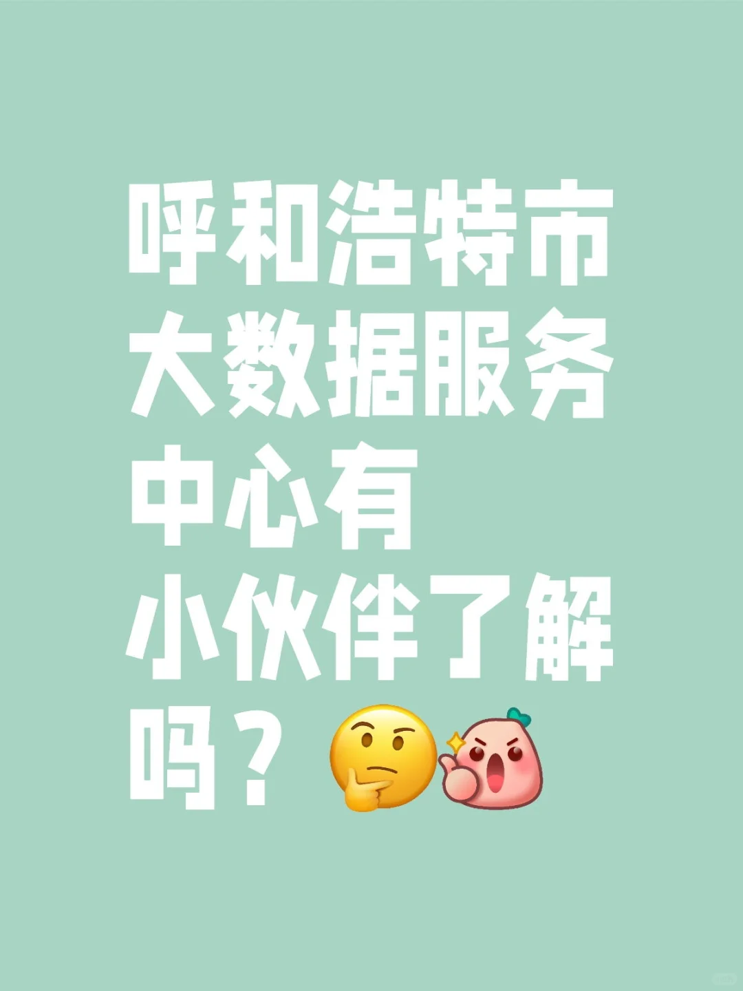 呼和浩特市大数据管理局