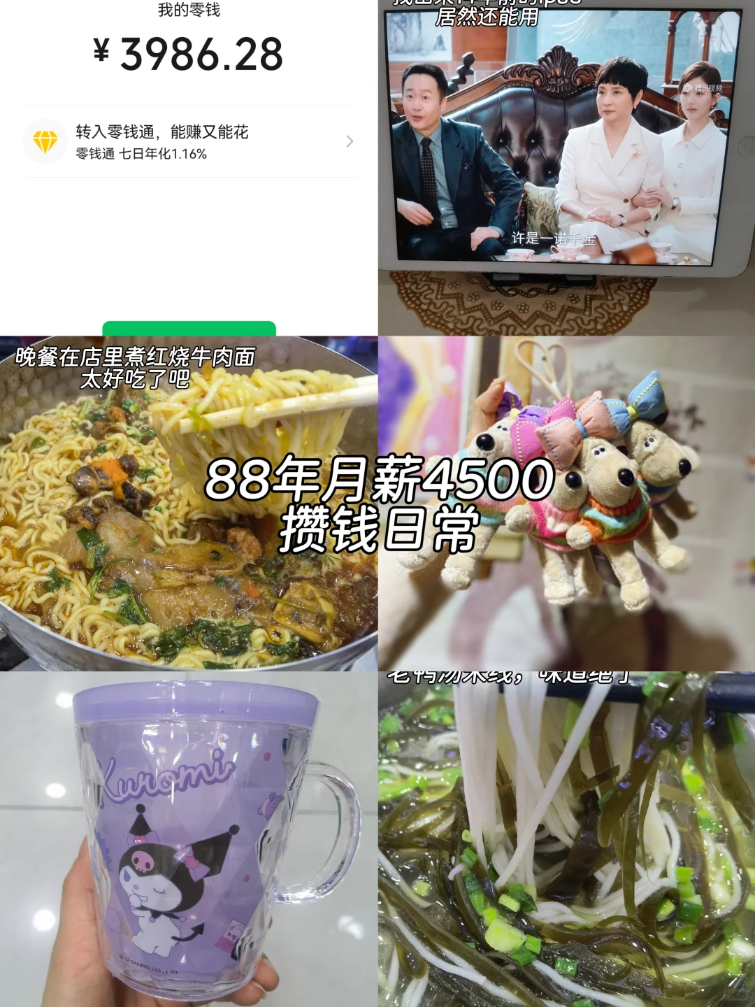 88年月薪4500存钱日常，生活多姿多彩