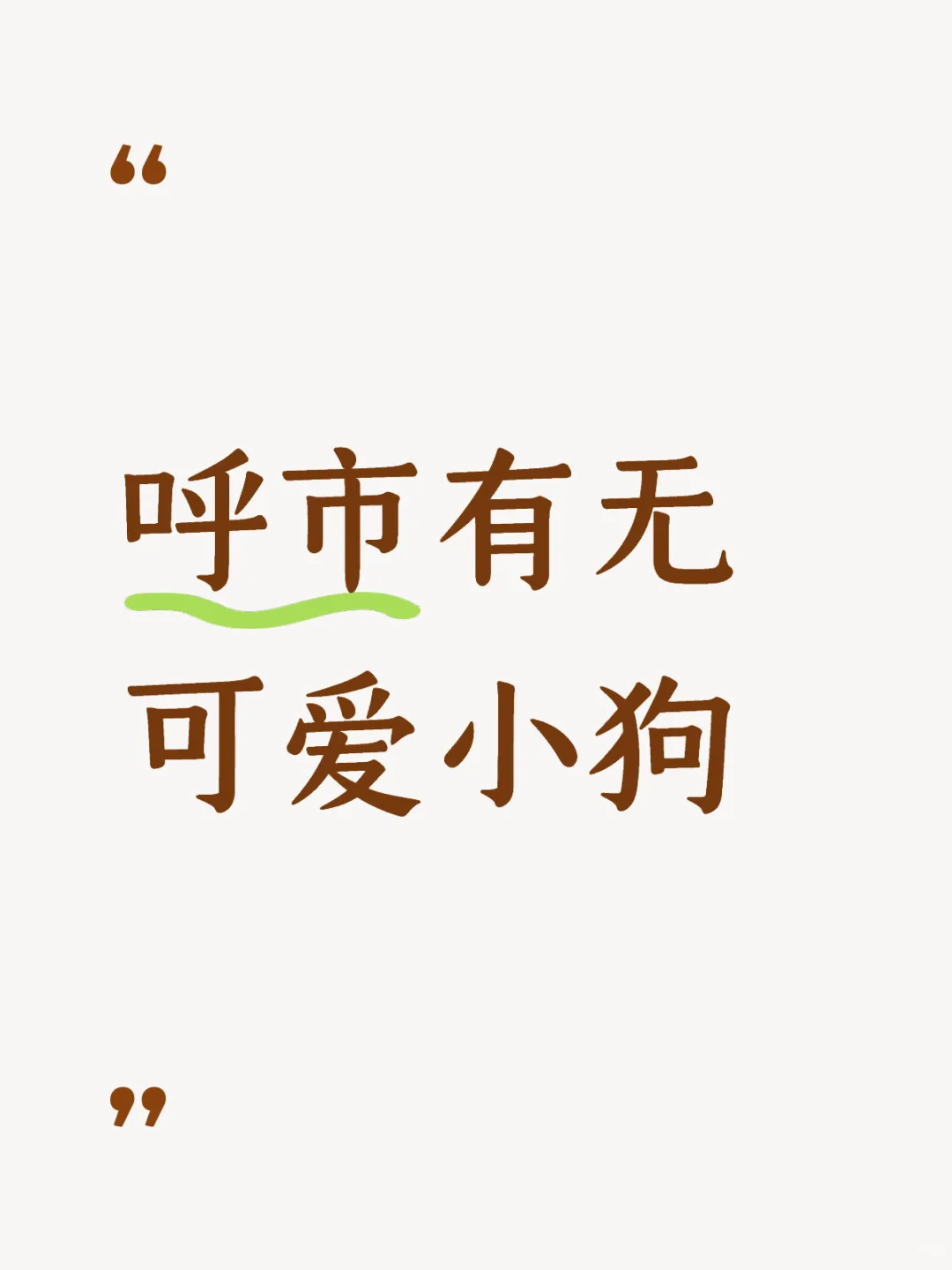呼市有无可爱小狗