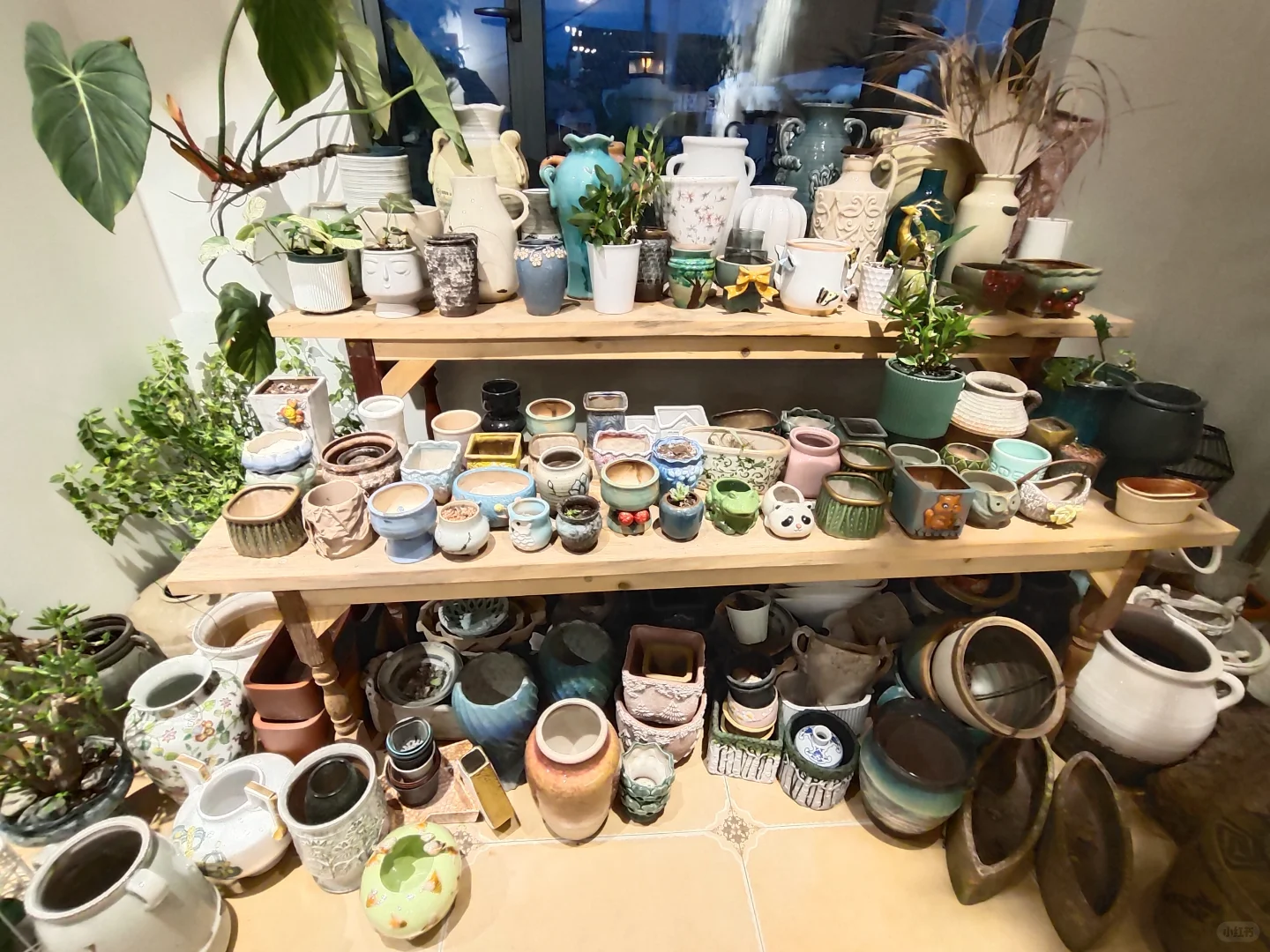 【广西北海·何其美植物艺术馆】招聘启事
