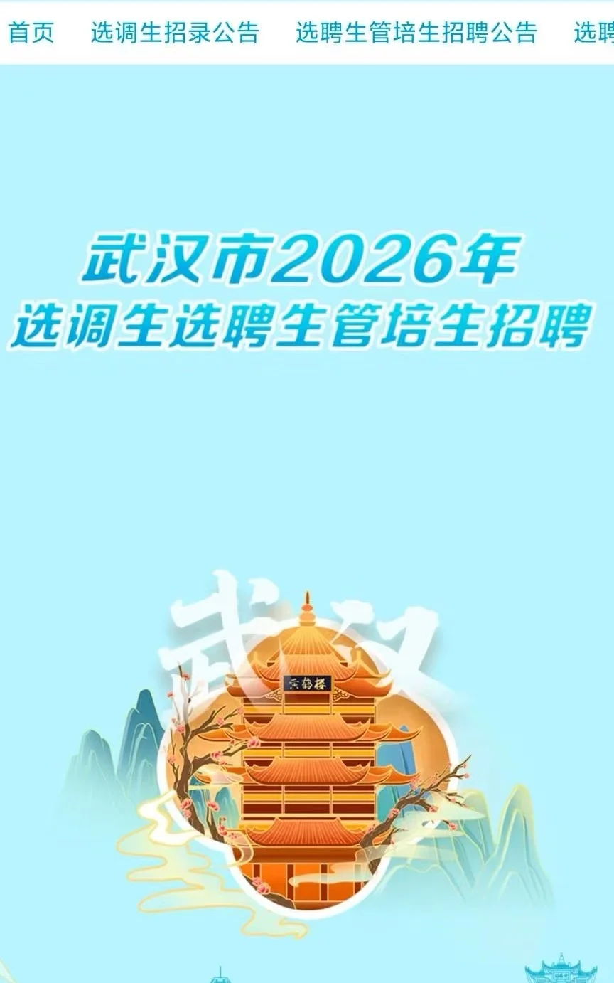 26武汉选聘生要来了，不笔试直接面试有编制