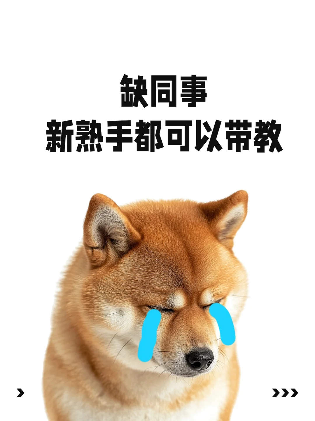 月子中心急聘“宝藏育婴师”