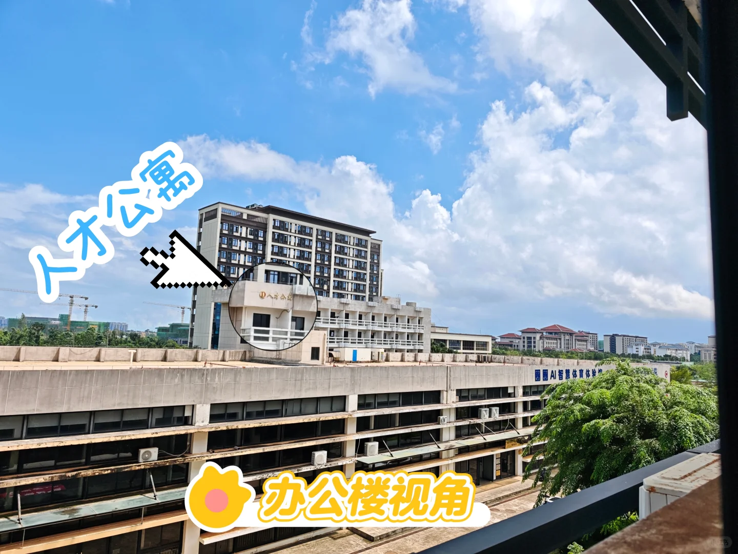 坐标海口！找到双休 + 节日福利的工作啦！
