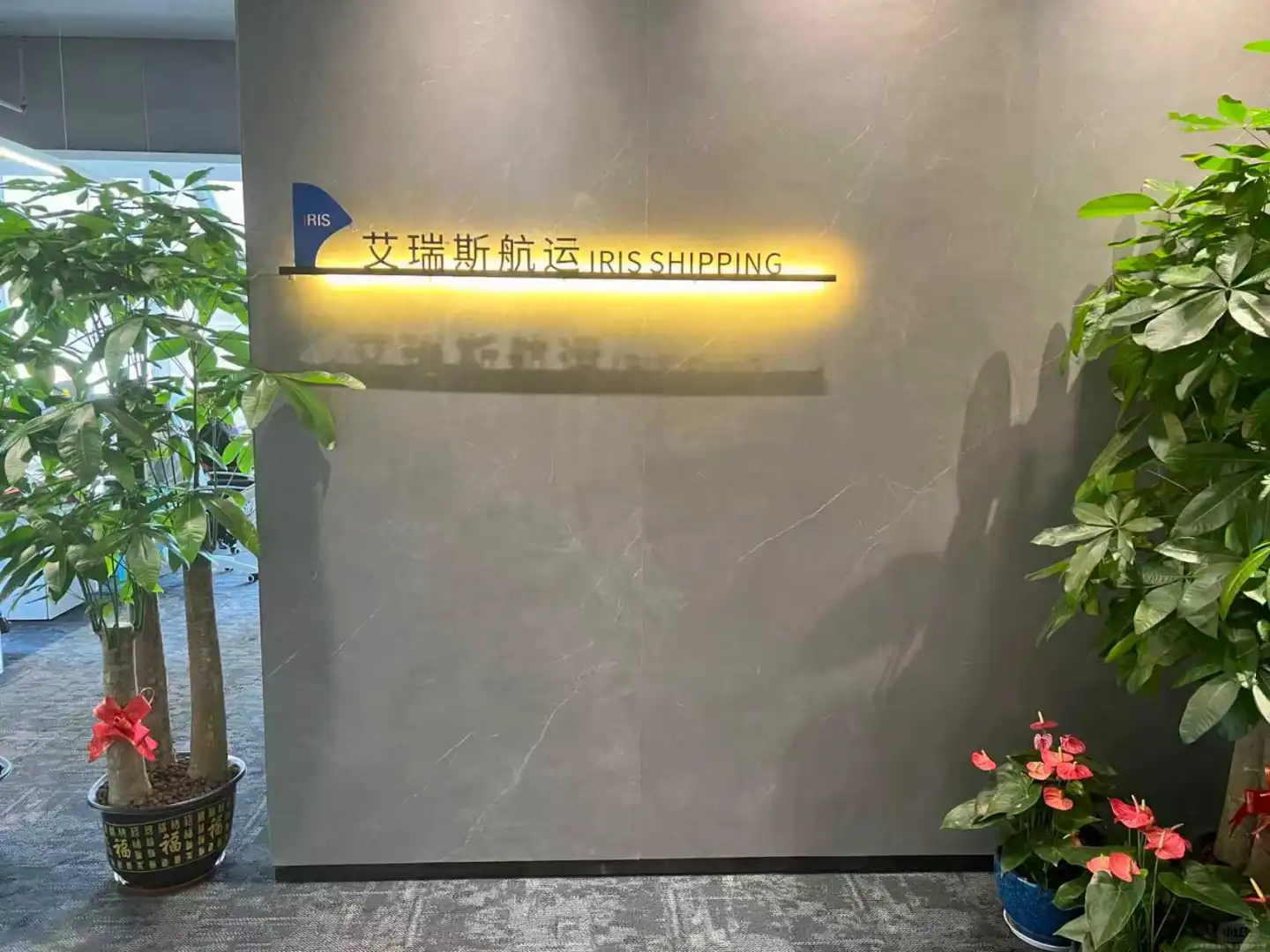 深圳龙华招人啦!双休!