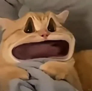 有人一起进厂吗