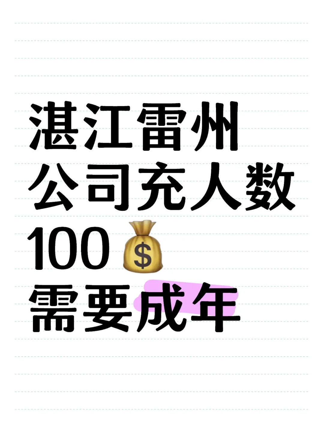 湛江雷州，公司充人数，100