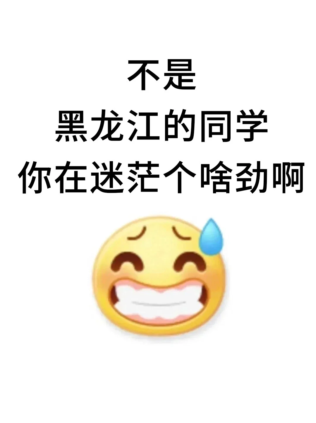 不是，黑龙江的同学你在迷茫个啥劲啊
