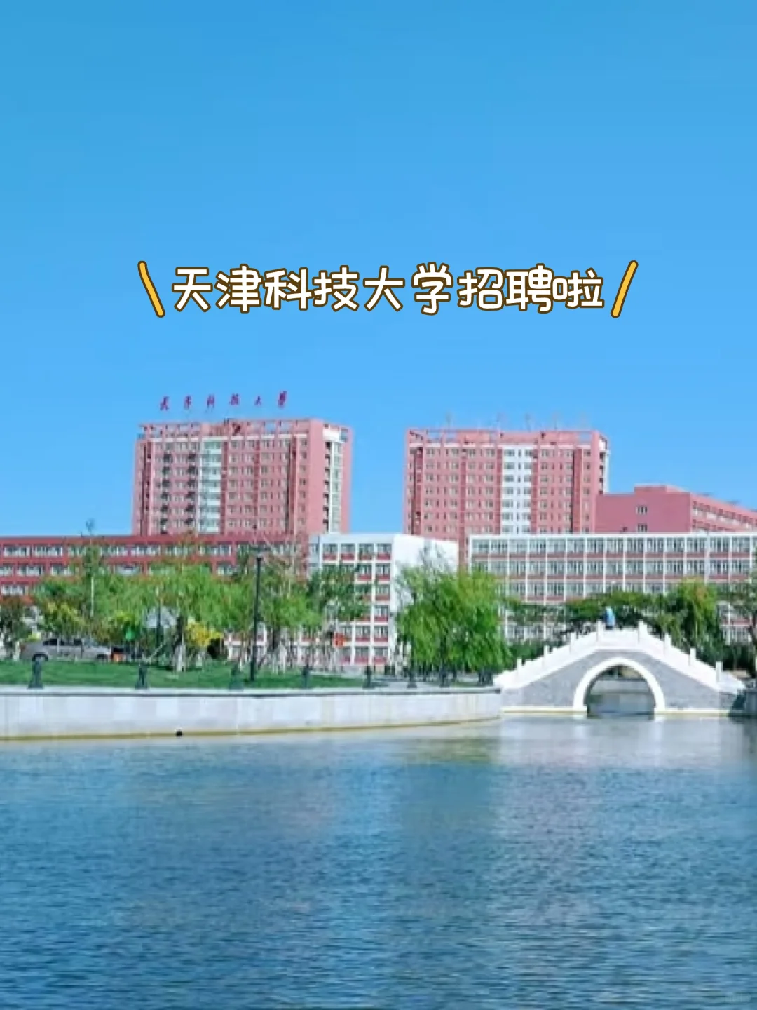 救命！天津科技大学招聘啦！！！
