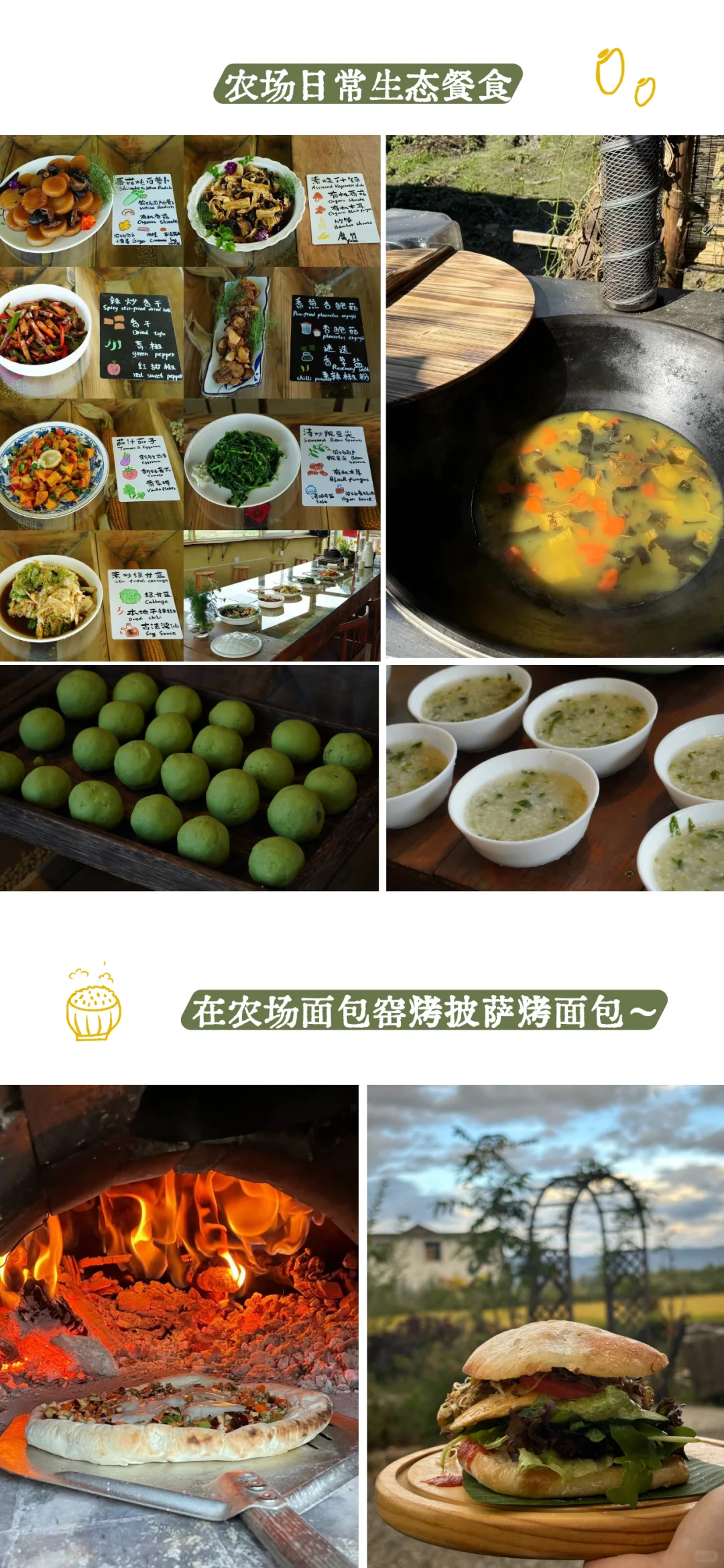 社区的有机农场招聘来啦～