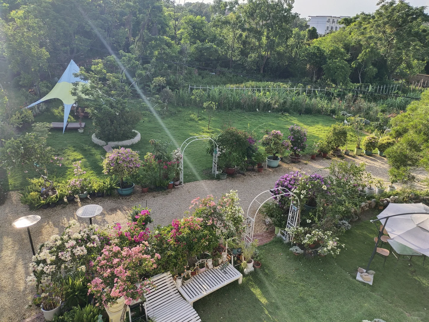 【广西北海·何其美植物艺术馆】招聘启事