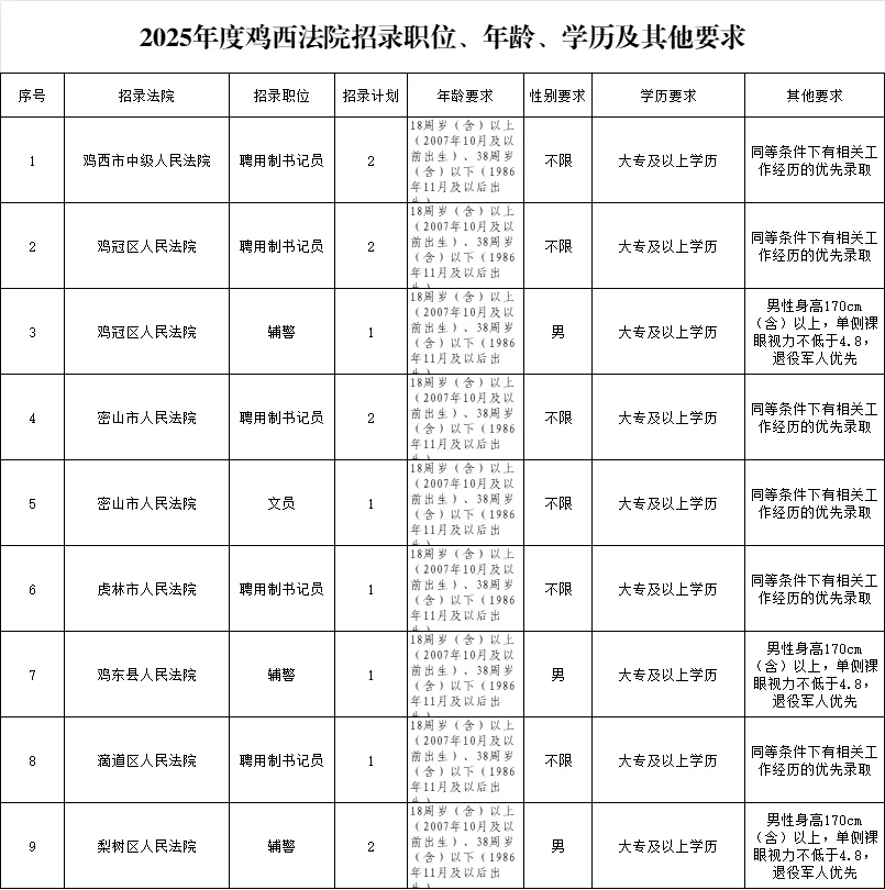 【大专】2025鸡西市法院系统招聘13人