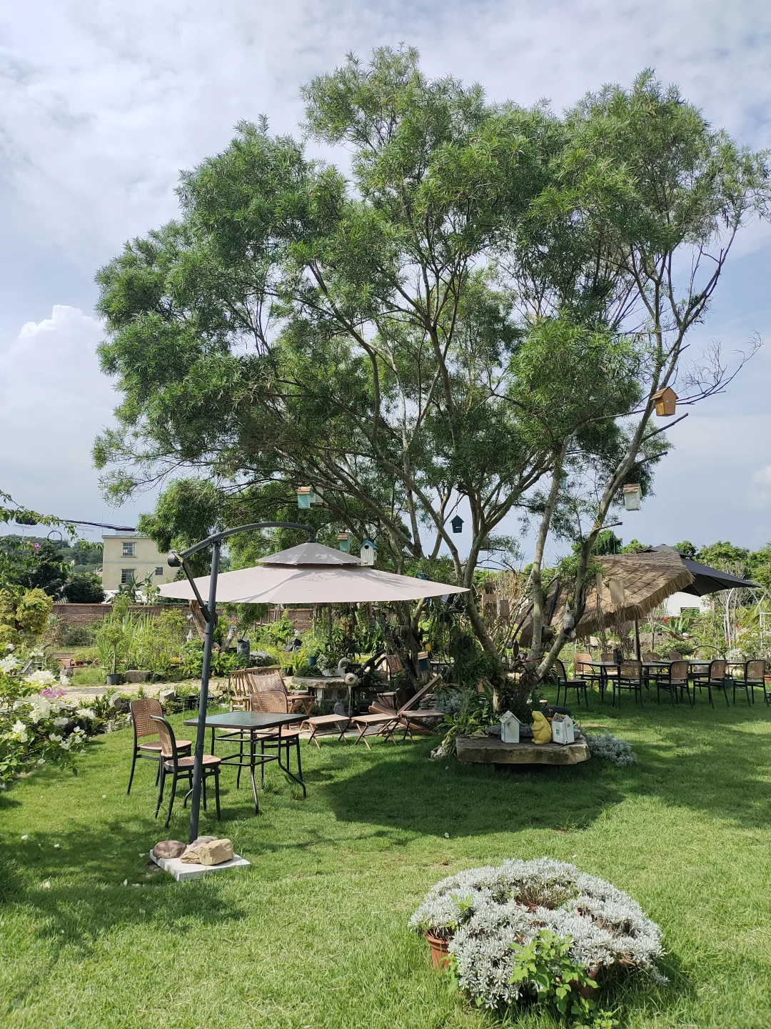 【广西北海·何其美植物艺术馆】招聘启事