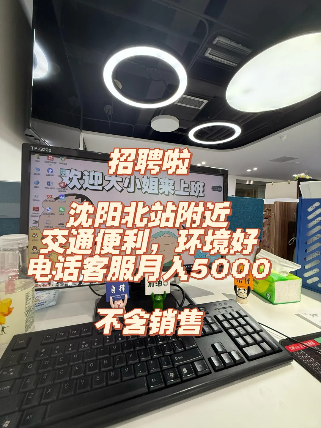 沈阳工作！电话客服，不含销售！