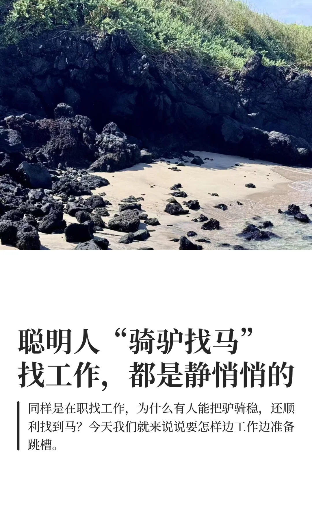 我发现很多人不会“骑驴找马”