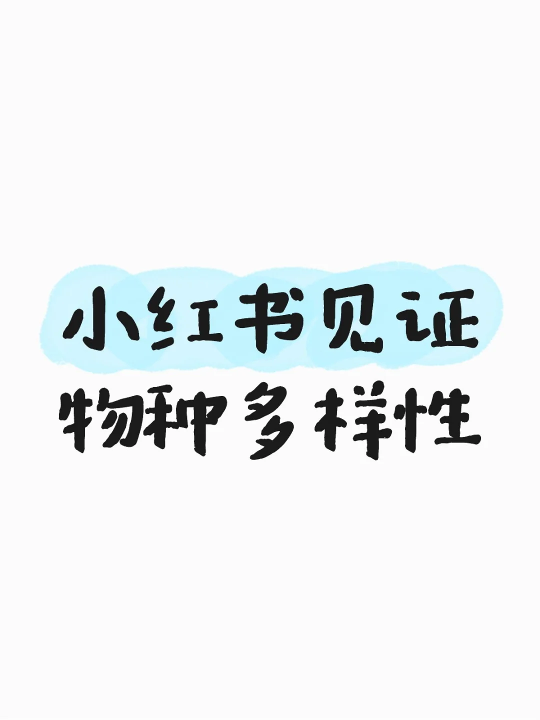 林子大了什么鸟都有
