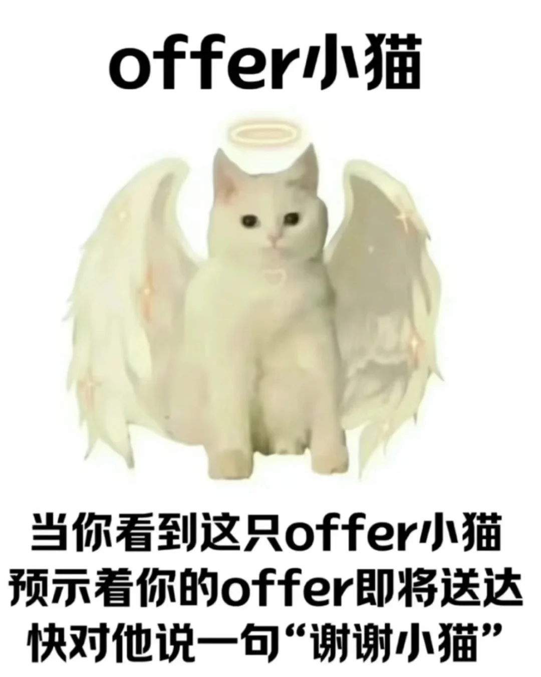 双休高薪offer来啦