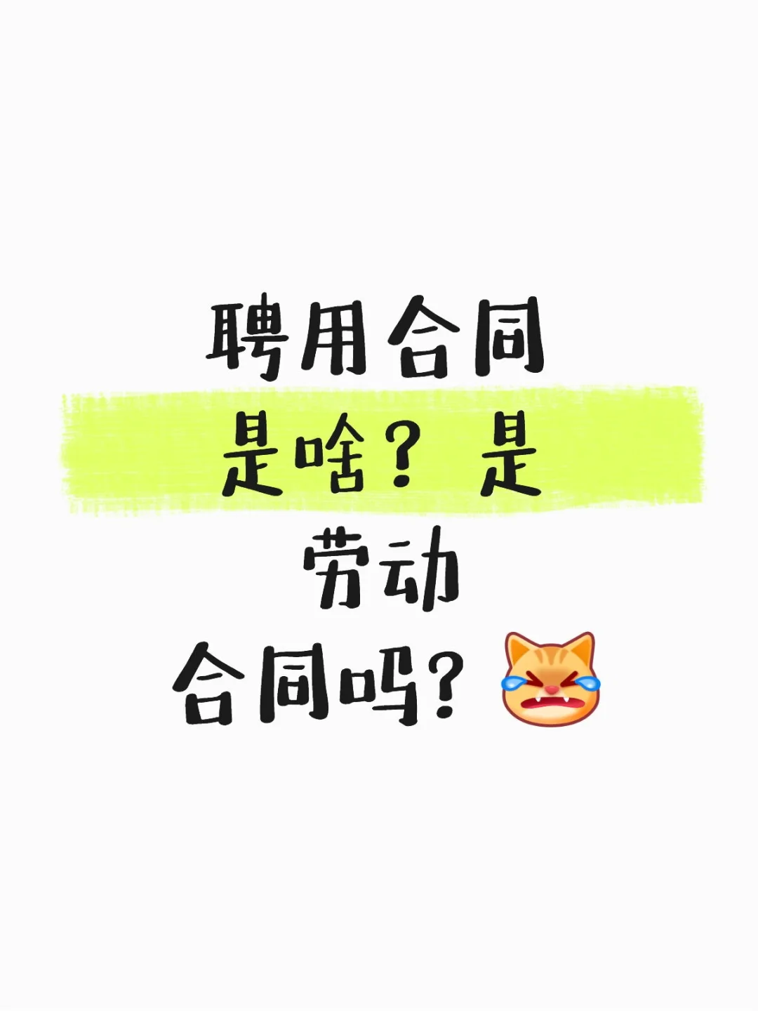 应届生求职求问