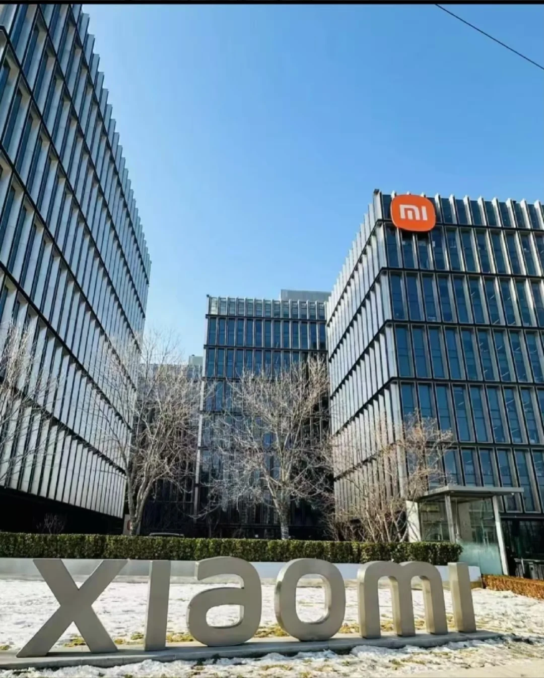 保定双休客服-小米科技公司