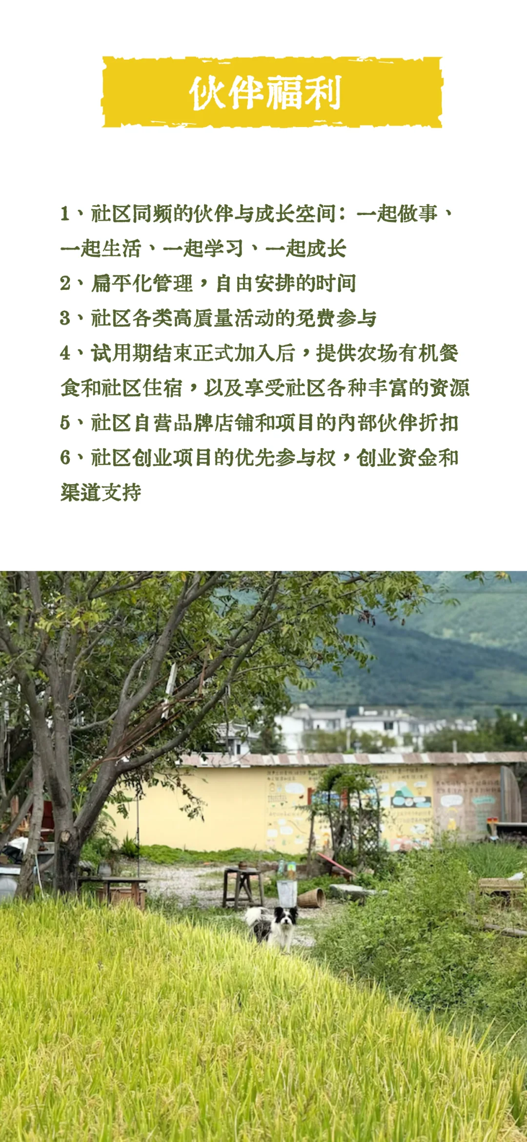 社区的有机农场招聘来啦～