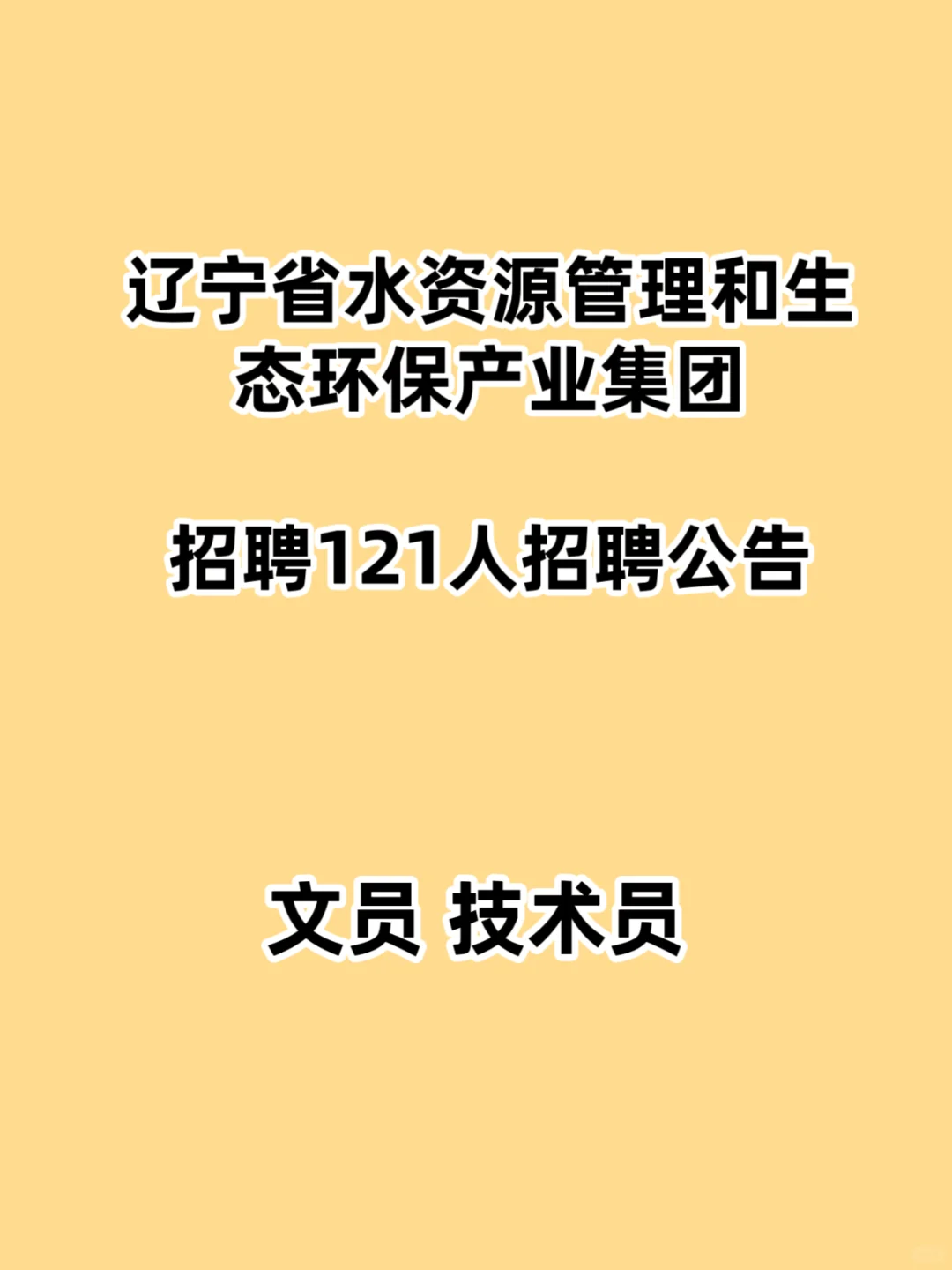 2025年辽宁省水资源管理和生态环境产业集团