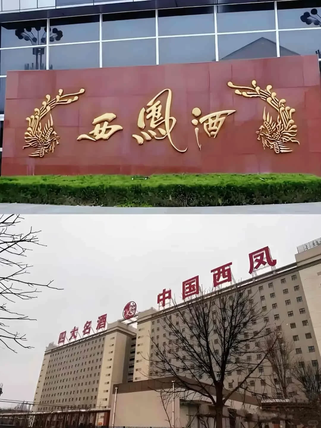 宝鸡西凤酒厂招人啦 文职双休 太爽了