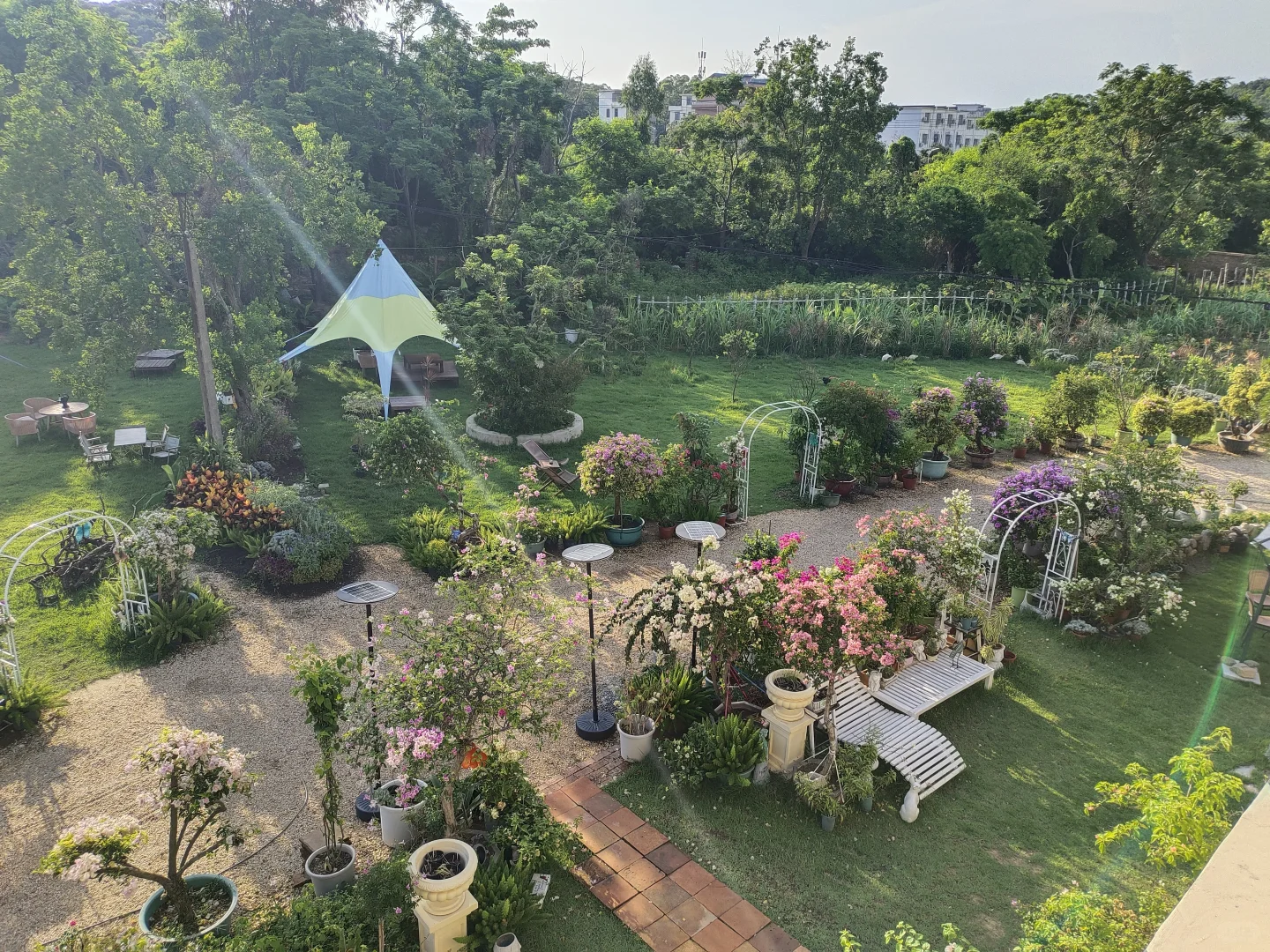 【广西北海·何其美植物艺术馆】招聘启事