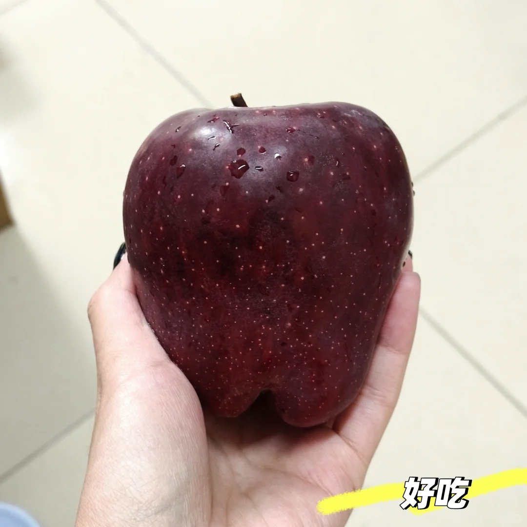 生活碎片🧩·保定 163
