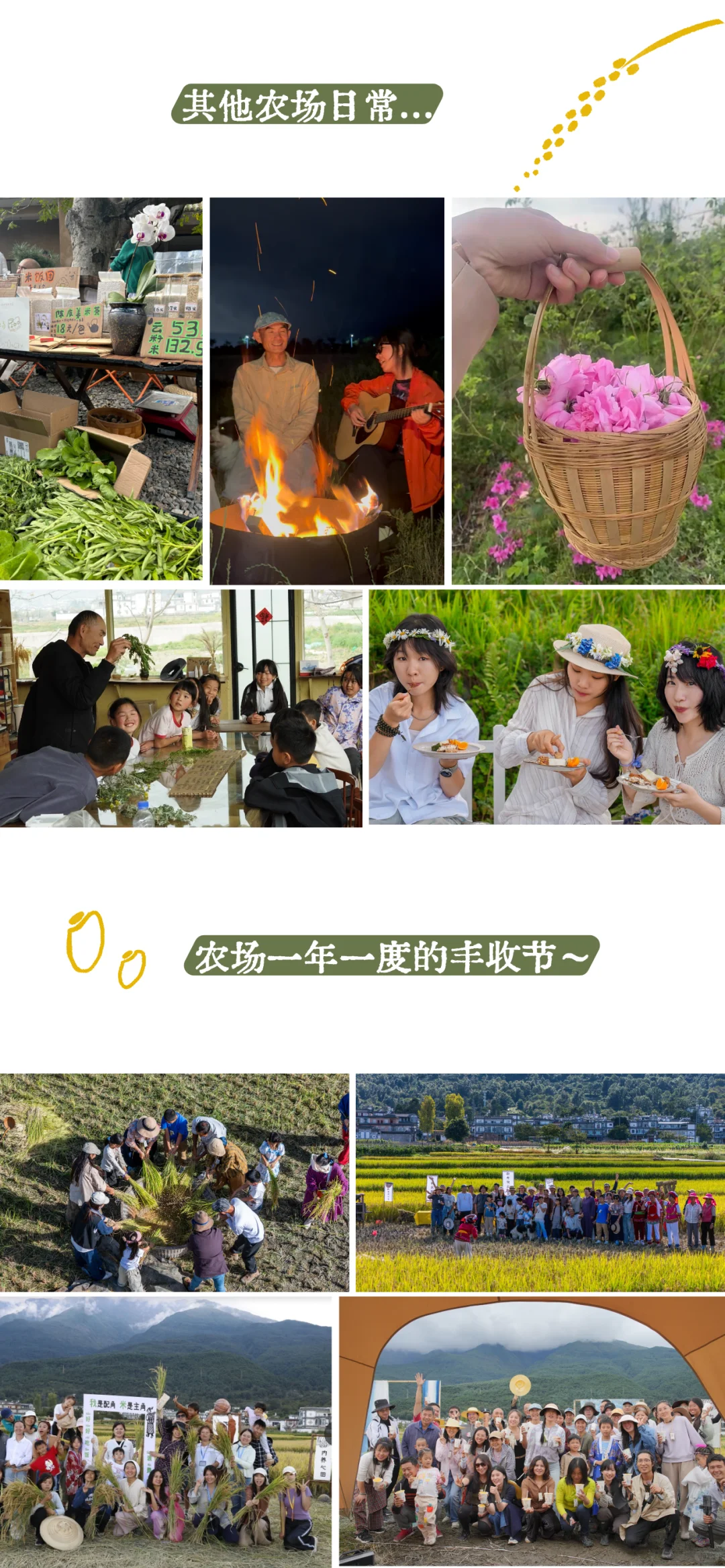 社区的有机农场招聘来啦～